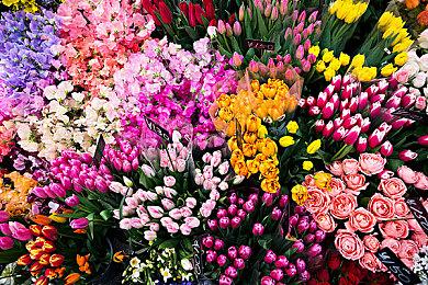 咖啡冲调模拟游戏《Coffee Talk》确认推出续作 2022年发售